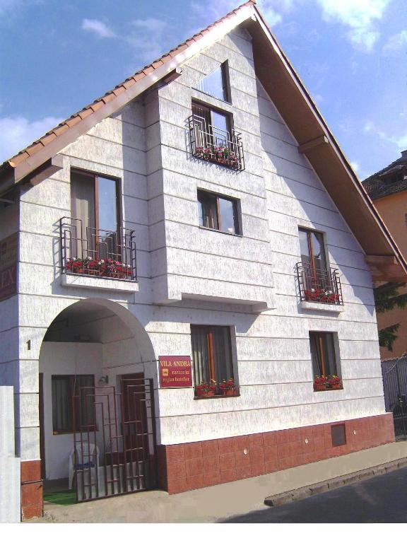 Pension Vila Andra Sibiu Exterior photo