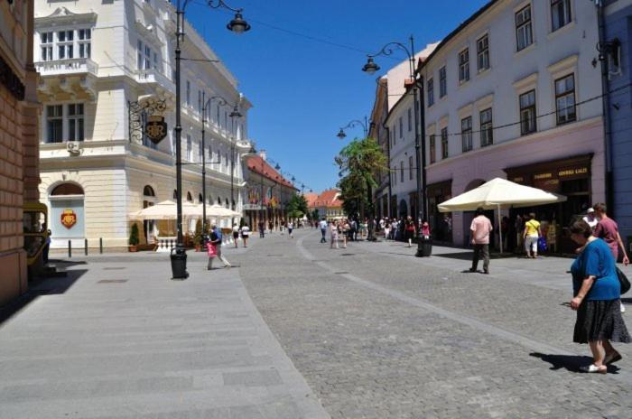 Pension Vila Andra Sibiu Exterior photo